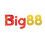 Big88 Nhà cái cá cược Profile Picture