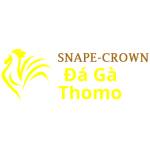 Đá Gà Trực Tiếp Thomo Profile Picture