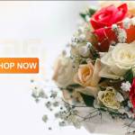 shop hoa tuoi Quảng Ninhv Profile Picture