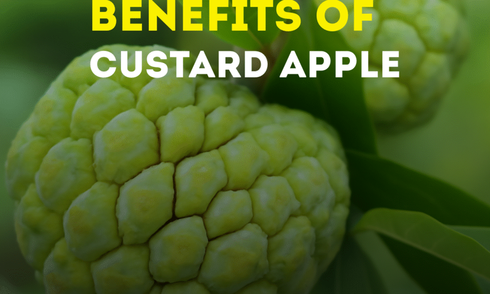 9 Healthy Benefits of Custard Apple in Your Daily Diet