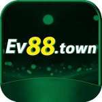 Ev88 town Profile Picture