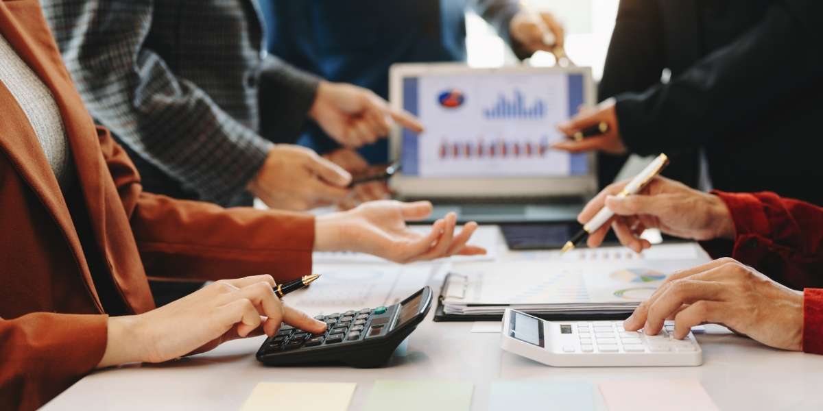 Why Smart Professionals Are Using Bank Statement Generators in 2025