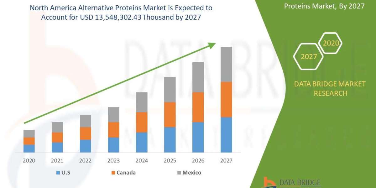 North America’s Alternative Proteins Market Surges as Consumers Embrace Plant-Based Lifestyles