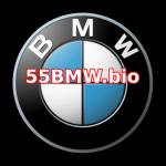 55BMW Profile Picture