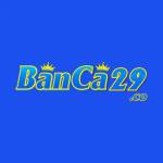 Banca29 co Profile Picture