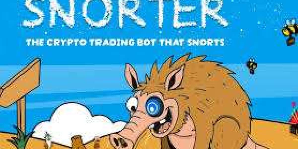 Snorter Token’s Role in Shaping the Future of Decentralized Finance (DeFi)