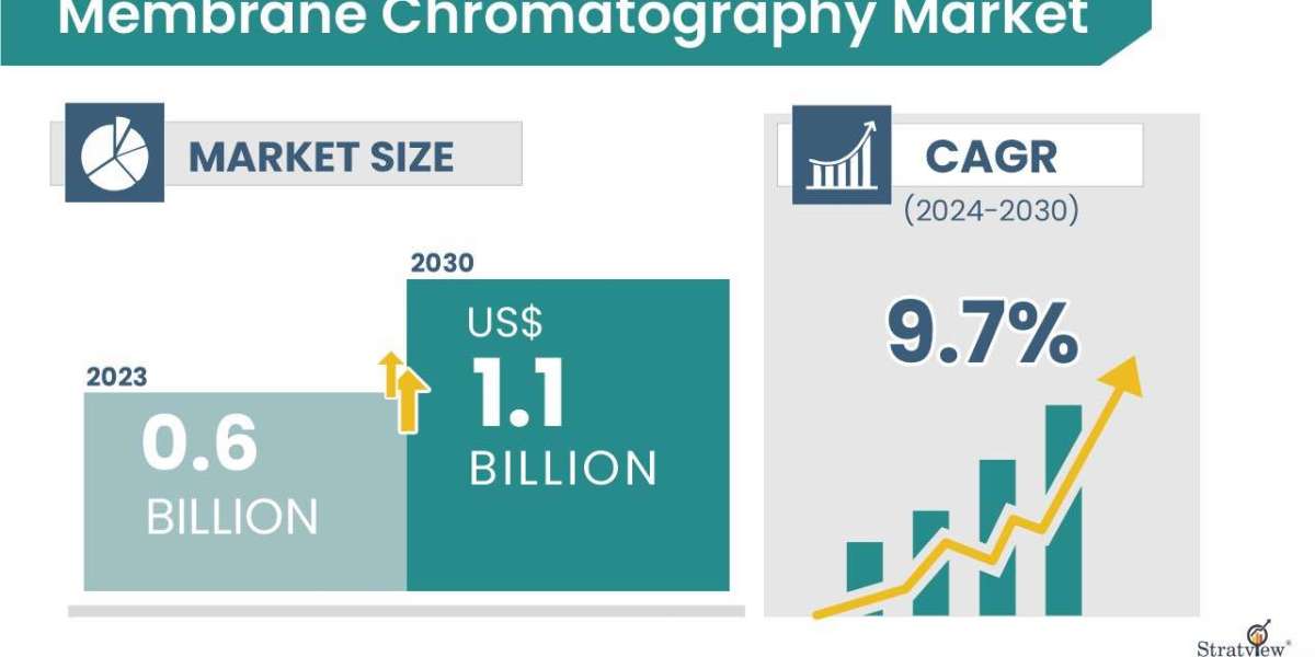 Membrane Chromatography Market to Reach USD 1.1 Billion by 2030, Reports Stratview Research