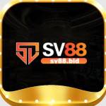 SV88 bid Profile Picture