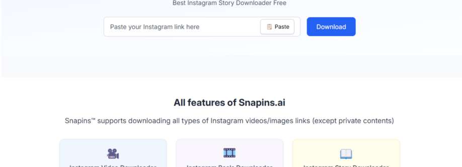 InstagramReels DownloadSnapinsta Cover Image