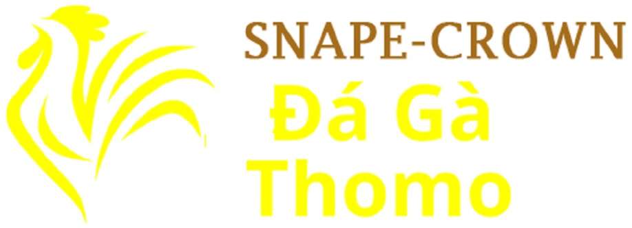 Đá Gà Trực Tiếp Thomo Cover Image
