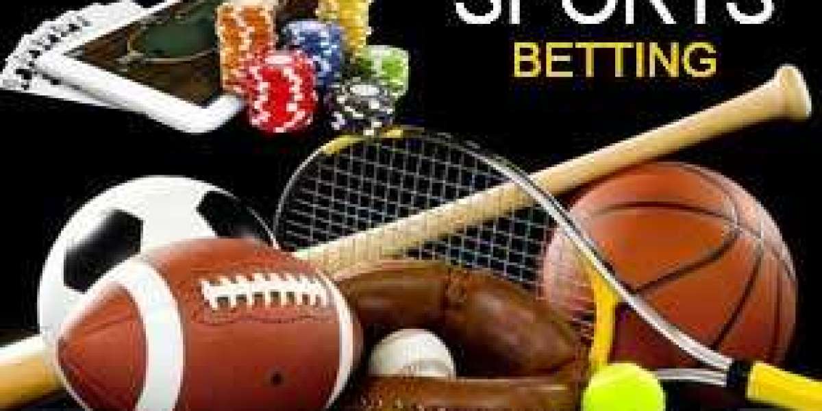 Sports Betting Diversity in 2025: From Football to Niche Markets