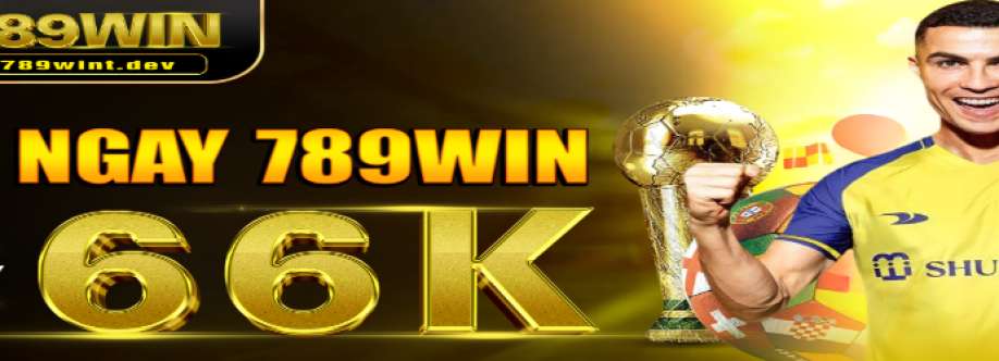 789WINt dev Cover Image