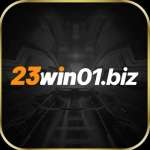 23win01 biz Profile Picture