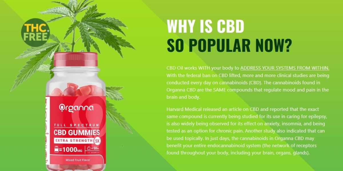 Organna CBD Gummies: For a Special Discounted Price Today