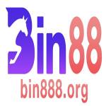 Bin888 Org profile picture