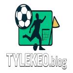 tylekeoblogvn Profile Picture