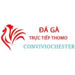 Đá Gà Trực Tiếp Thomo Profile Picture