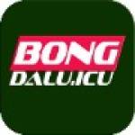 bongdalu icu Profile Picture