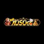 xoso66trading Profile Picture
