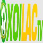 Mintatl org phát tán mã độc BOTNET Profile Picture