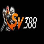 SV388v cx Profile Picture
