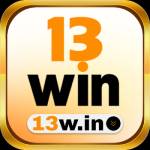 13w in Profile Picture