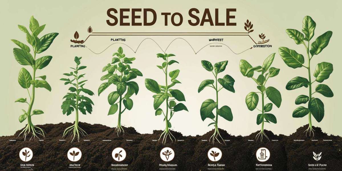 Profitable Hemp Cultivation In India: from Seed to Sale