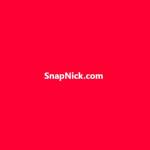 snapnick Nickname Generator 2025 Profile Picture
