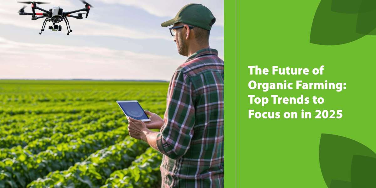 The Future of Organic Farming: Top Trends to Focus on in 2025