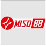 Miso88 Profile Picture