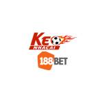 LiveSoccer MatchAnalysis Profile Picture