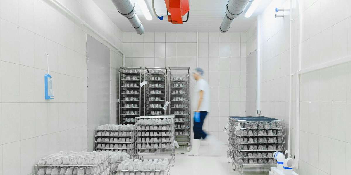 When to Use Climate-Controlled Storage