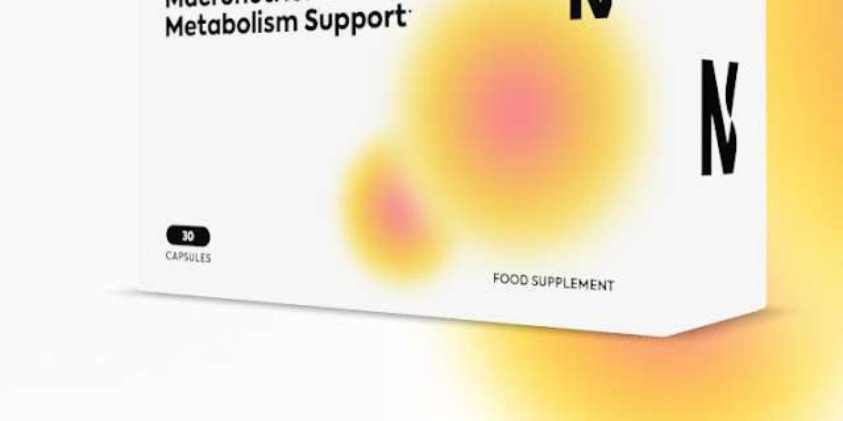 Wie lange dauert es, bis die N Slim Diet Erfahrungen Ergebnisse zeigen?