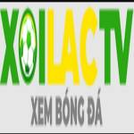 fondazionesabattini it scams users Profile Picture