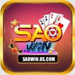 SAOWIN US Profile Picture