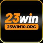 23WIN10 org Profile Picture