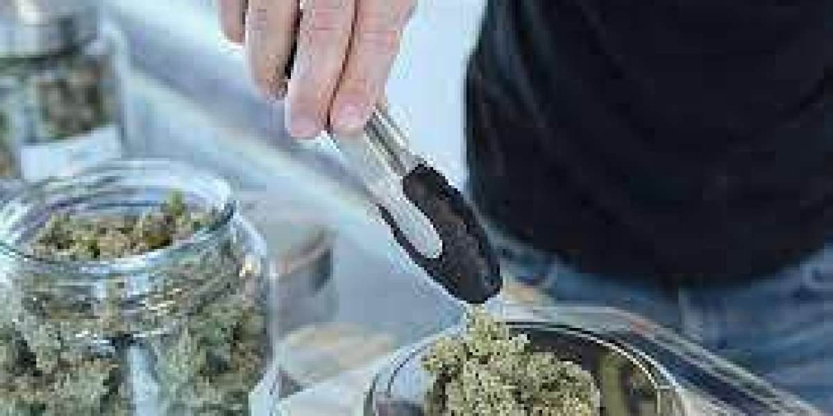 Summer Weed Deals in Canada: Your Ultimate Guide to Hot Discounts