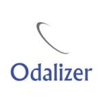 Odalizer Profile Picture