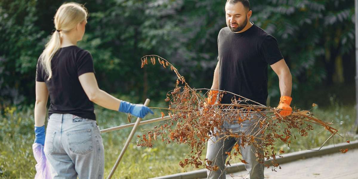 Expert Backyard Cleaning Services – Care n Cleans