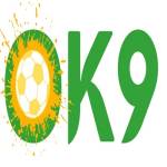OK9 Profile Picture