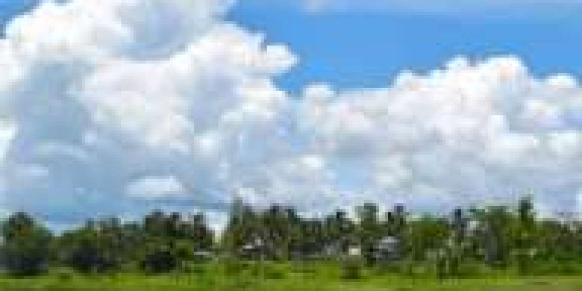 Montang Valley: Tripura’s Hidden Gem Captivating Travelers in 2025