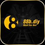 88B diy Profile Picture