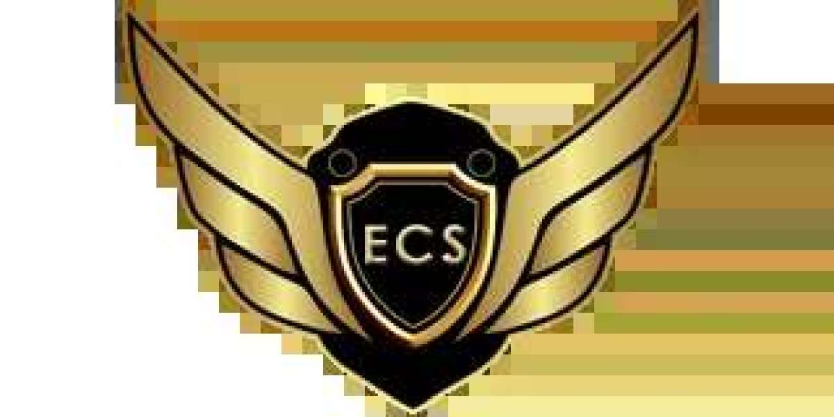 DC Elite Car Service: Setting the Standard for Luxury Transportation in the Capital