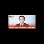 CEO Tống Giang Profile Picture