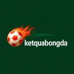 ketquabongda org Profile Picture