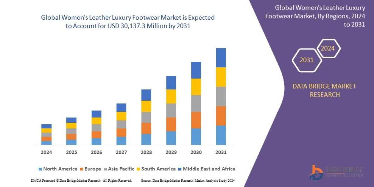 Women’s Leather Luxury Footwear Market Flourishes with Rising Affluent Consumer Base and Fashion Trends