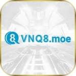 vnq8moe Profile Picture