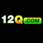 12qnetbr Profile Picture