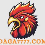 DAGA 7777 Profile Picture