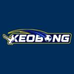 keobongvin Profile Picture